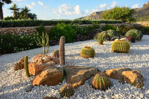 a garden with cacti and rocks in a yard at Tramonto A Nordovest in Favignana