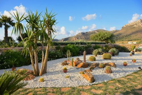 a garden with cacti and palm trees and rocks at Tramonto A Nordovest in Favignana