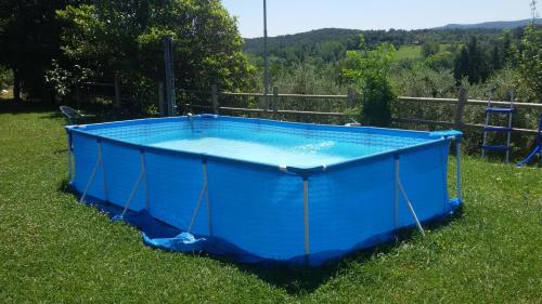 a blue pool in the grass in a yard at Agriturismo L'isola in Crespina
