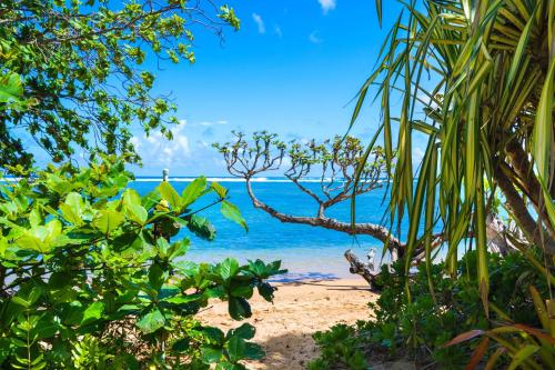 a view of the ocean from a beach with trees at Anini Ohana Hale TVNC#4255 in Kilauea