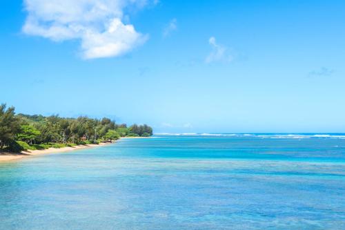 a view of the ocean from the beach at Anini Ohana Hale TVNC#4255 in Kilauea