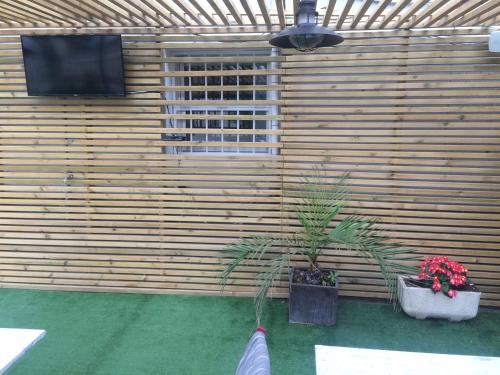 a wooden wall with two potted plants and a television at La Masia in Sant Pere Pescador