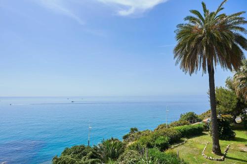 a palm tree on a hill next to the ocean at Hotel Corallo in Imperia