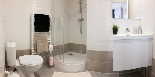 トゥールーズにあるNice Flat Ramblas Centre Toulouseのバスルーム(トイレ、洗面台、シャワー付)