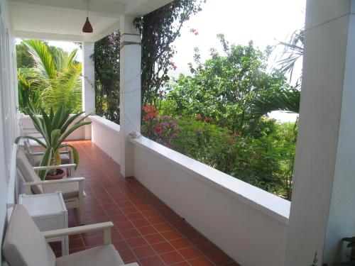 a porch with chairs and plants on it at Green Roof Inn in Carriacou