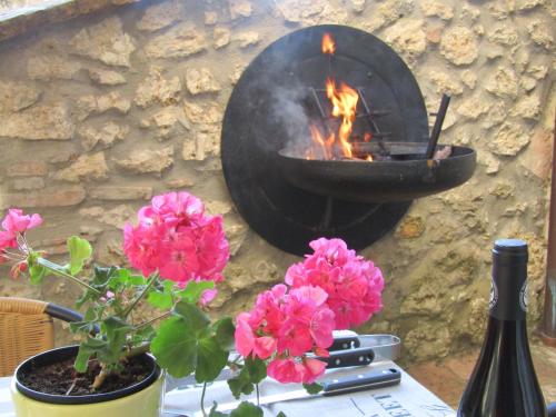 a stone wall with a fire pit and pink flowers at La Casetta in Penna in Teverina