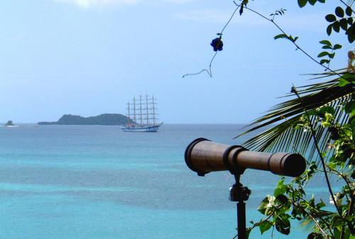 a tall ship in the ocean with a telescope at Green Roof Inn in Carriacou