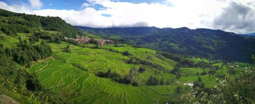an aerial view of a green valley with mountains at Green Hostel & Sunny Guesthouse in Yuanyang