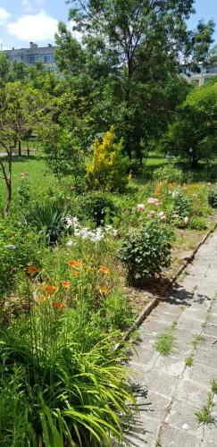 Jardí fora de Florata apartment