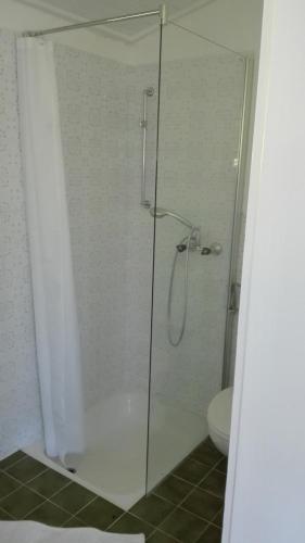 a bathroom with a glass shower with a toilet at Apartement Postalm in Abtenau