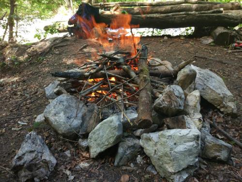a fire pit in the woods with rocks at Tourist Farm Strle With Great Local Food in Cerknica