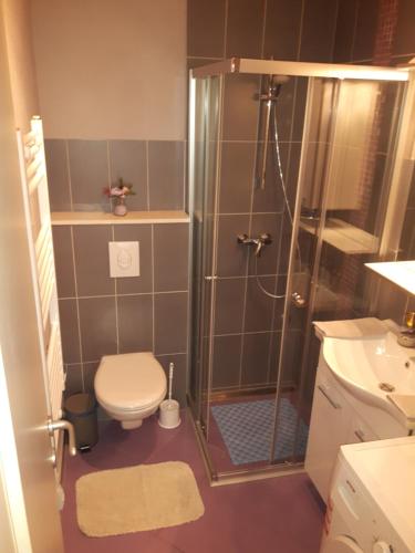 Koupelna v ubytování Apartmani Lucia