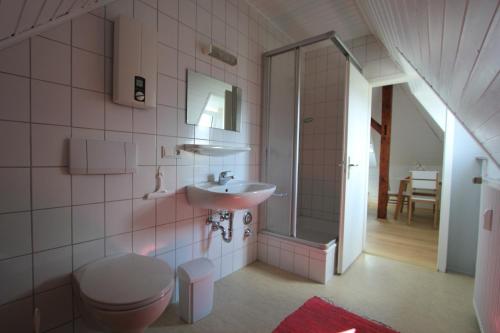 a pink bathroom with a toilet and a sink at Haus Victoria in Marburg an der Lahn