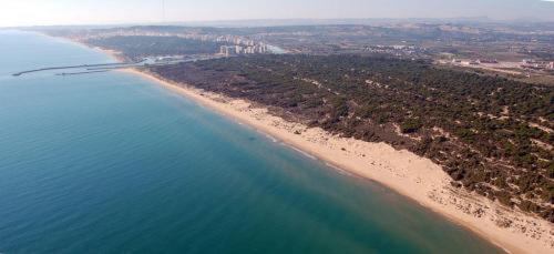 an aerial view of a beach and the ocean at Hotel Meridional in Guardamar del Segura