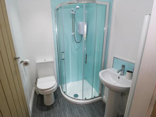 a bathroom with a shower and a toilet and a sink at The Button Box in Huddersfield