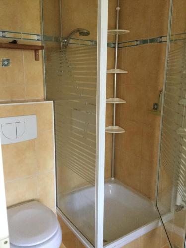 ケルブラにあるFerienhaus am Kyffhauserのバスルーム(トイレ、ガラスドア付きのシャワー付)