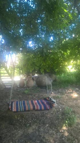 Сад в Areni House B&B