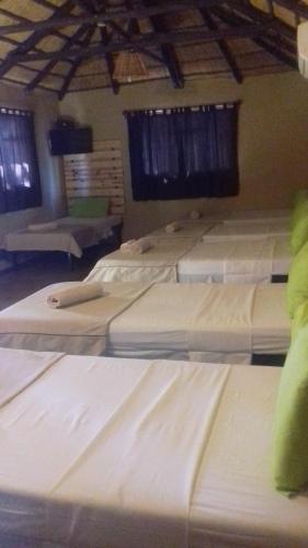 a group of white beds in a room at Phokoje Bush Lodge in Selebi-Pikwe