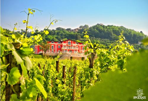 Tenuta Ippocrate – Photos 4