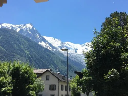 Appart'Hotel Aiguille Verte & Spa photo 15