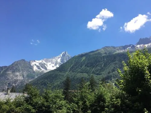 Appart'Hotel Aiguille Verte & Spa photo 14