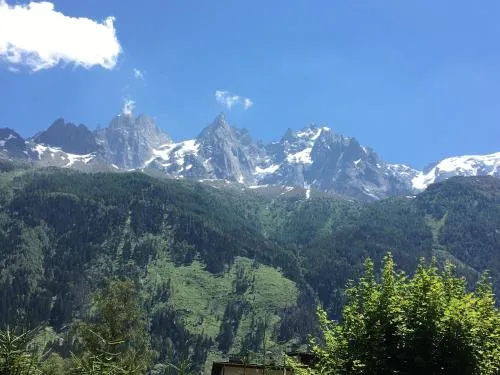 Appart'Hotel Aiguille Verte & Spa photo 7