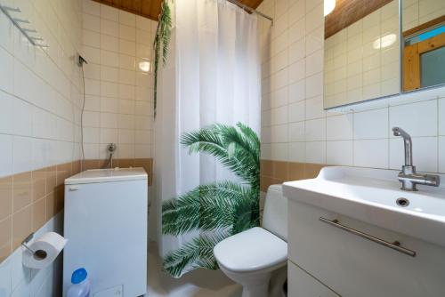 a bathroom with a toilet and a sink at Mikkeli Citycenter apartment with sauna in Mikkeli
