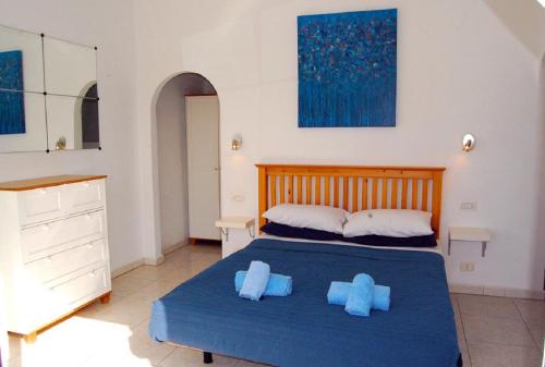 um quarto com uma cama azul e 2 almofadas azuis em Casa Miguel em San Miguel de Abona