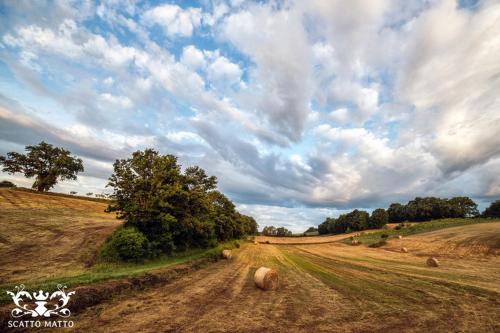 a field with hay bales on a dirt road at Hotel Italia & Lombardi in Montefiascone
