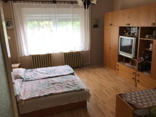 a bedroom with a bed and a tv and a window at Liget nyaralóház in Balatonföldvár