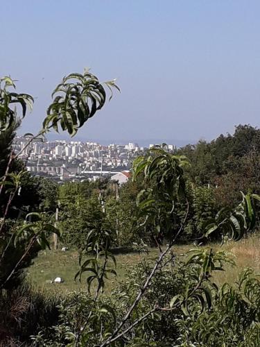 Φυσικό τοπίο κοντά σε αυτό το διαμέρισμα