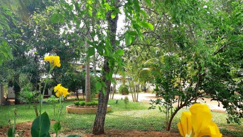 a garden with trees and yellow flowers on the grass at Tamarind Tamarind Resort, Tourist Board Approved in Habarana