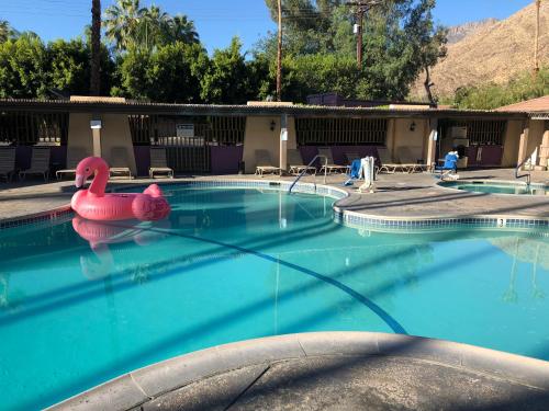 בריכת השחייה שנמצאת ב-Vagabond Motor Hotel - Palm Springs או באזור