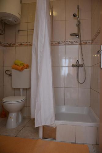 Koupelna v ubytování Apartments Lans