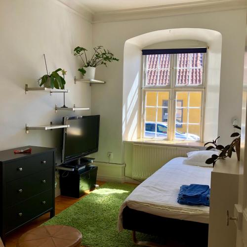 a bedroom with a bed and a tv and a window at Specksrum 3 in Visby