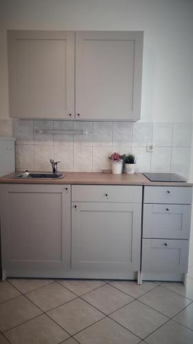 Kuchyň nebo kuchyňský kout v ubytování Apartments Leonarda
