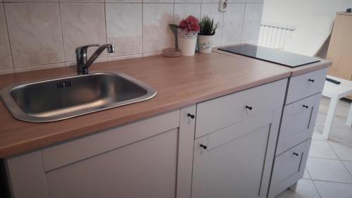 Kuchyň nebo kuchyňský kout v ubytování Apartments Leonarda