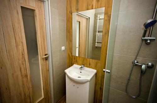 a bathroom with a sink and a mirror at Ośrodek Dąbrówka in Suwałki