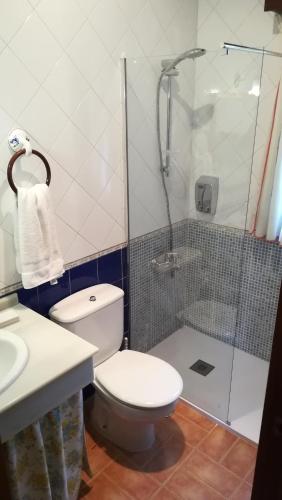 a bathroom with a toilet and a shower and a sink at Apartamentos El Cueto in Oviñana