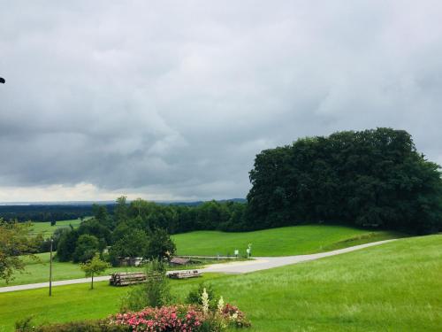 a green hill with benches and a tree on it at Bauernhaus Dhillon in Bernau am Chiemsee