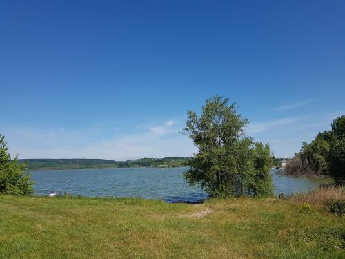 a large body of water with a tree in the foreground at Kincsesbánya in Kincsesbanya