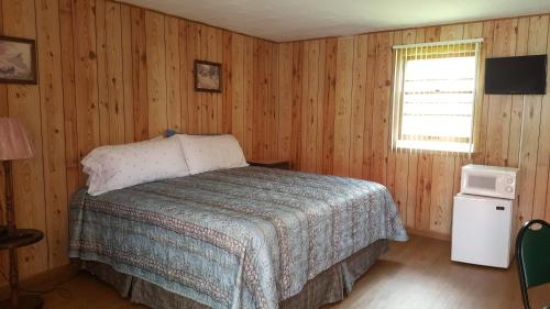 1 dormitorio con cama, ventana y TV en Alpine Motel in heart of Wisconsin Dells downtown., en Wisconsin Dells
