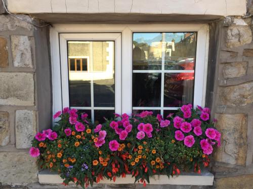 a window box filled with flowers in front of a window at Oh So Snug in Whalley