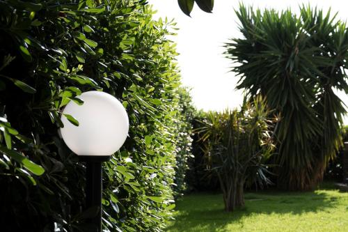 a street light next to a hedge with trees at L'oasi di Giorgia in Cittadella del Capo