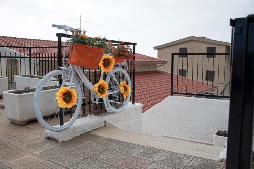 a bike with sunflowers in a basket on a balcony at L'oasi di Giorgia in Cittadella del Capo