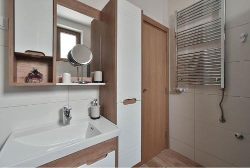 a bathroom with a sink and a mirror and a shower at Lux Apartman Daria in Zlatibor