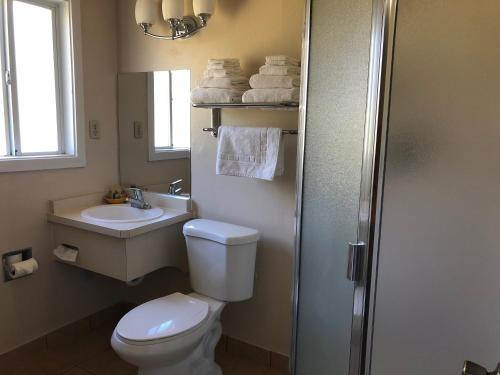 y baño con aseo, lavabo y espejo. en Evergreen Lodge, en Mount Shasta