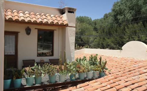 a garden with a bunch of plants in it at El Cortijo Hotel Boutique in Cachí