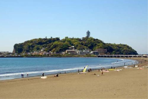 a group of people on a beach near the ocean at Hotel Wing International Shonan Fujisawa in Fujisawa
