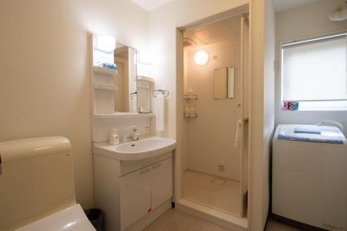 a bathroom with a sink and a toilet and a mirror at Yukon in Kutchan